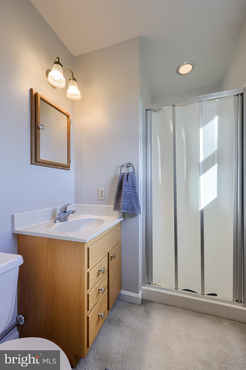 2 Mill Ridge Court Lancaster, PA 17601 - Photo 43 of 79 a bathroom with a sink a toilet and mirror
