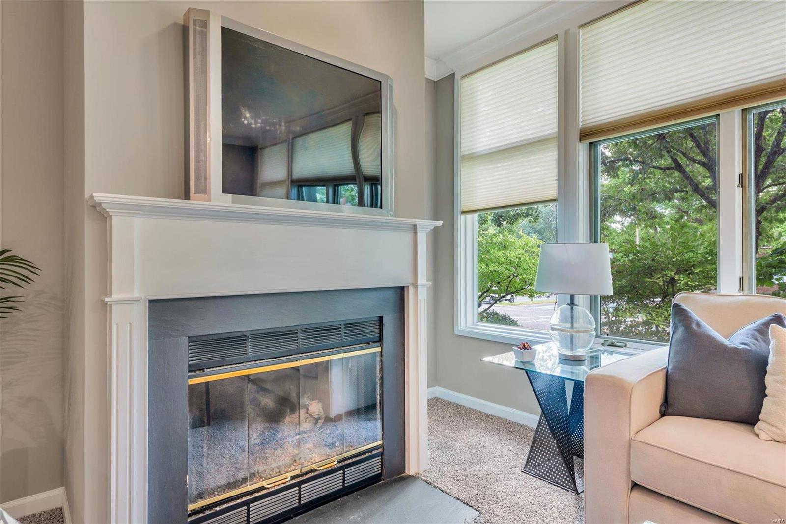 155 North Hanley Road, Unit 104 St. Louis, MO 63105 - Photo 9 of 22 Gallery Image 9