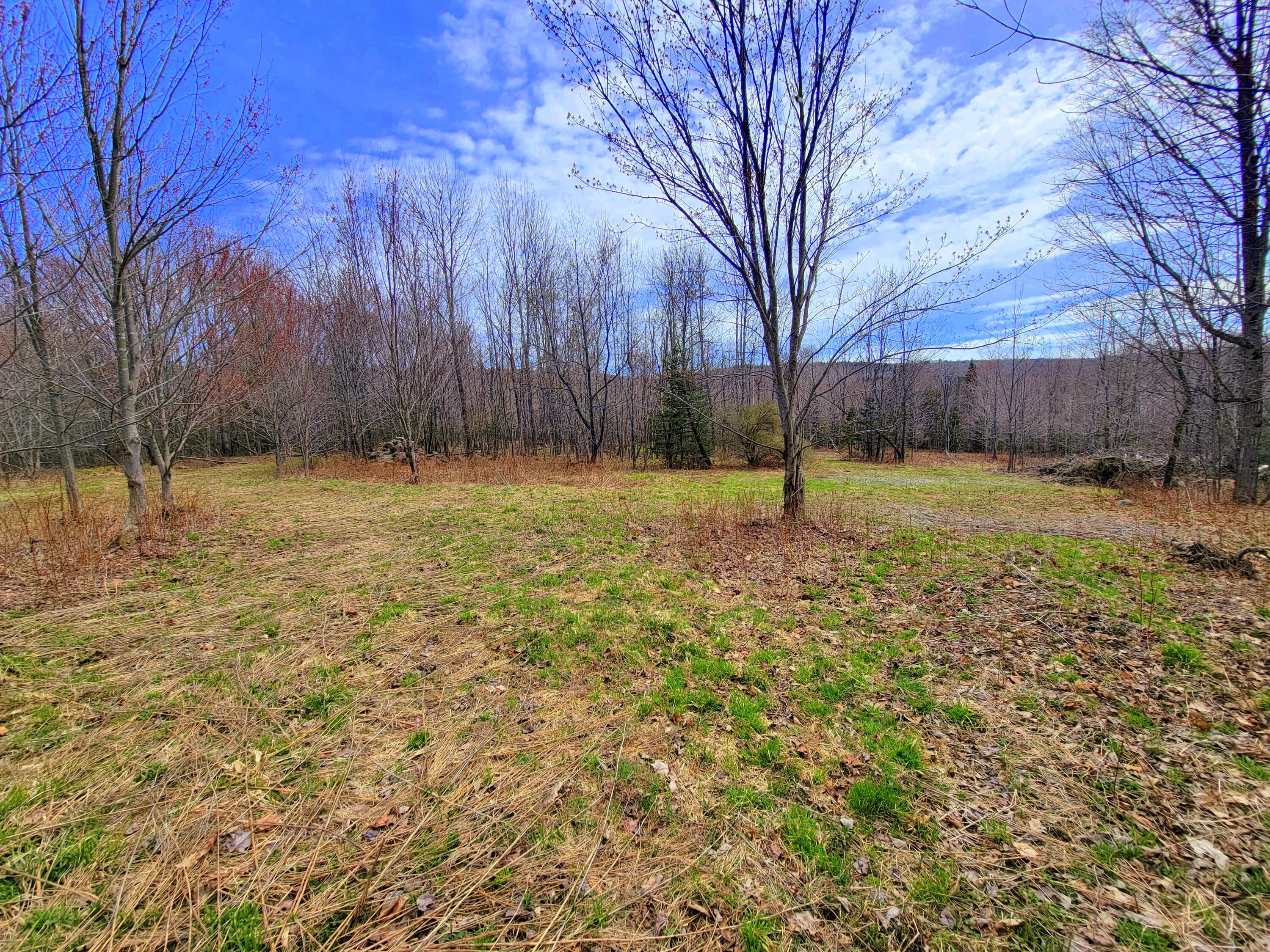 181 Brown Road Farmington, ME 04938 - Photo 94 of 110 Clearings