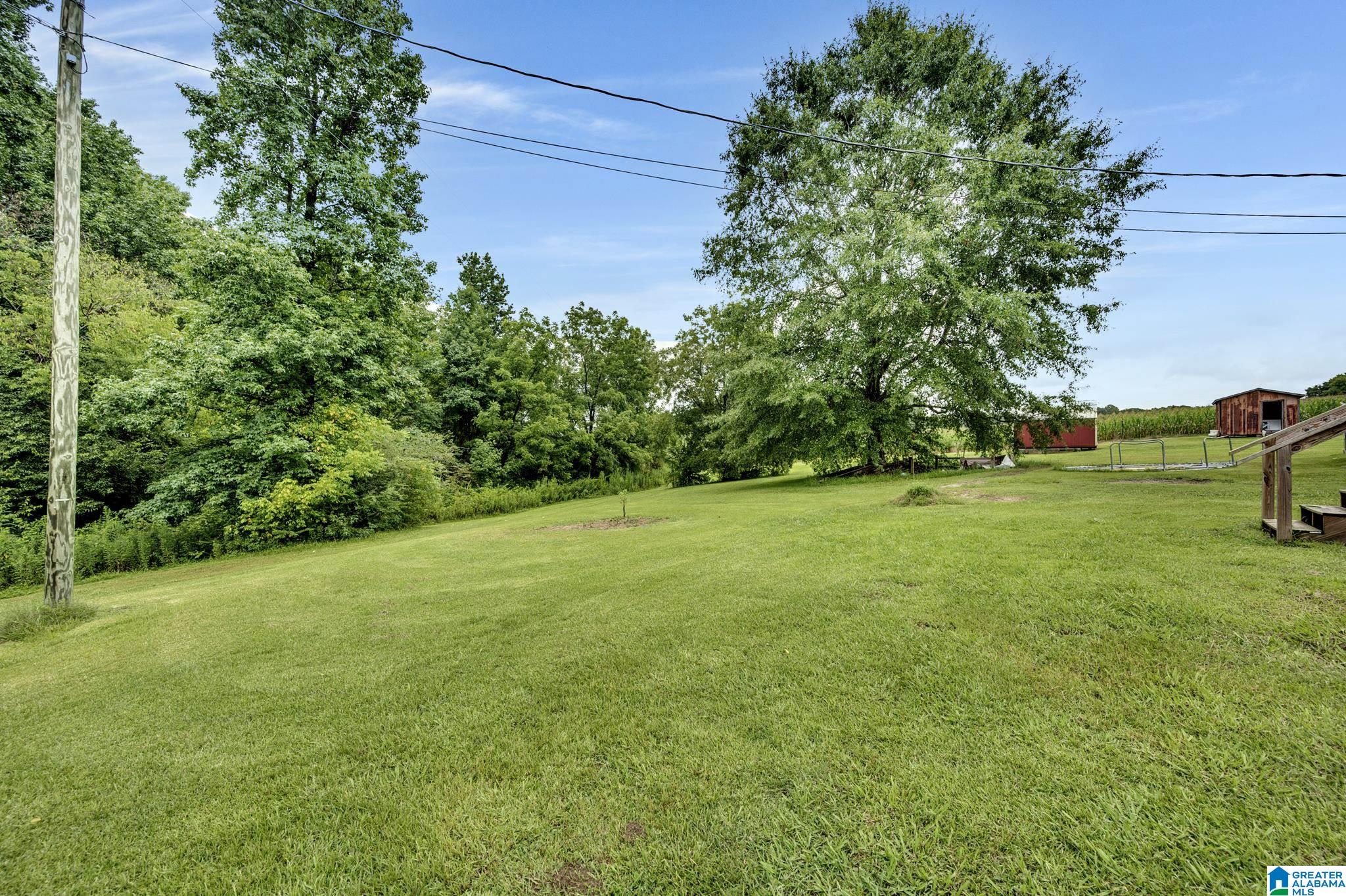 945 Wood Road Oneonta, AL 35121 - Photo 31 of 33