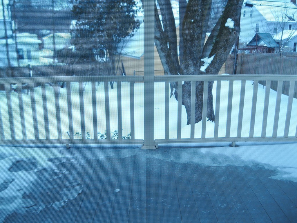 83 Flagg Street Worcester, MA 01602 - Photo 12 of 25 a view of deck with a yard