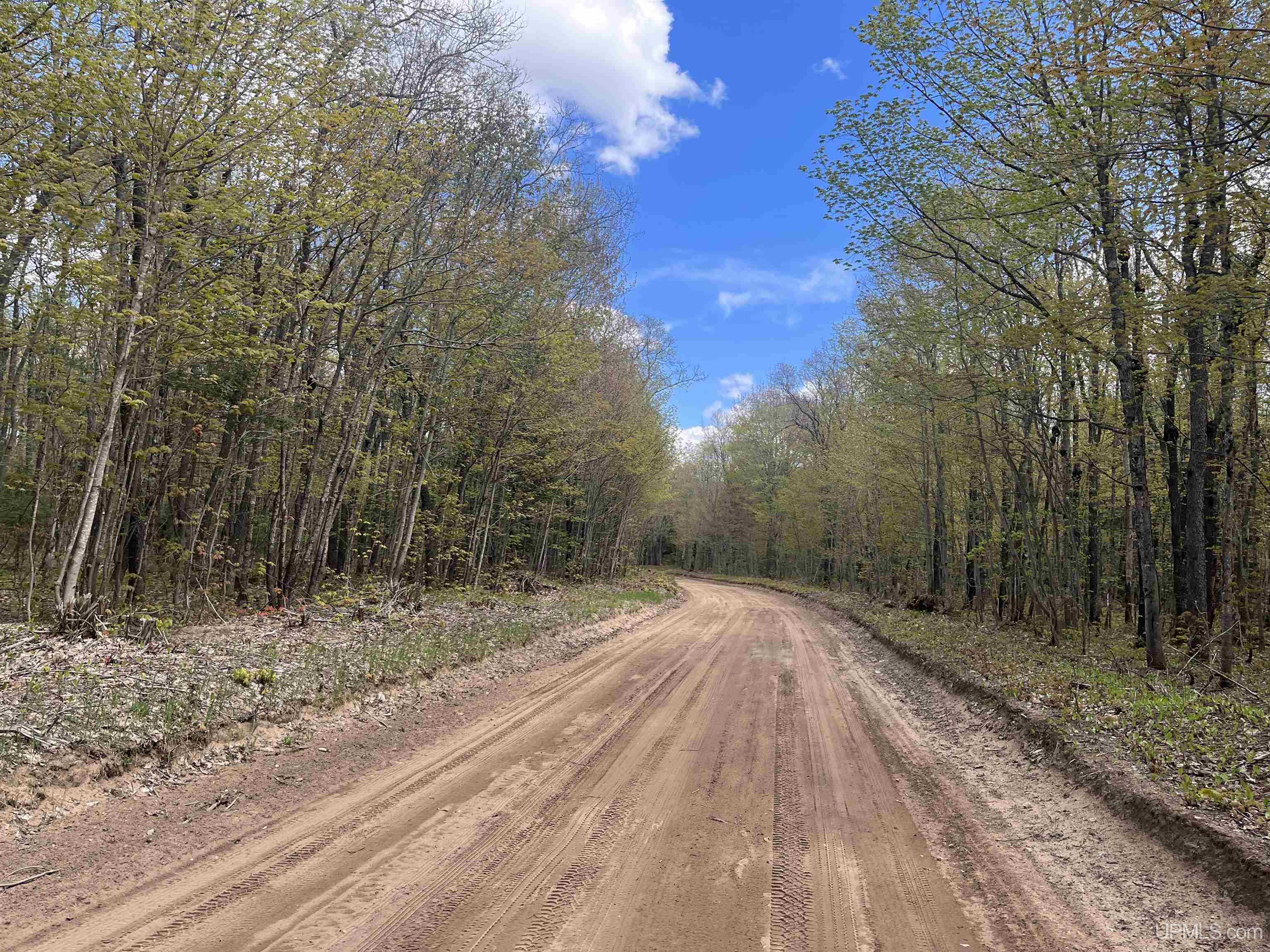 450 Rd Seney Mi 49883 Road Seney, MI 49883 - Photo 5 of 33