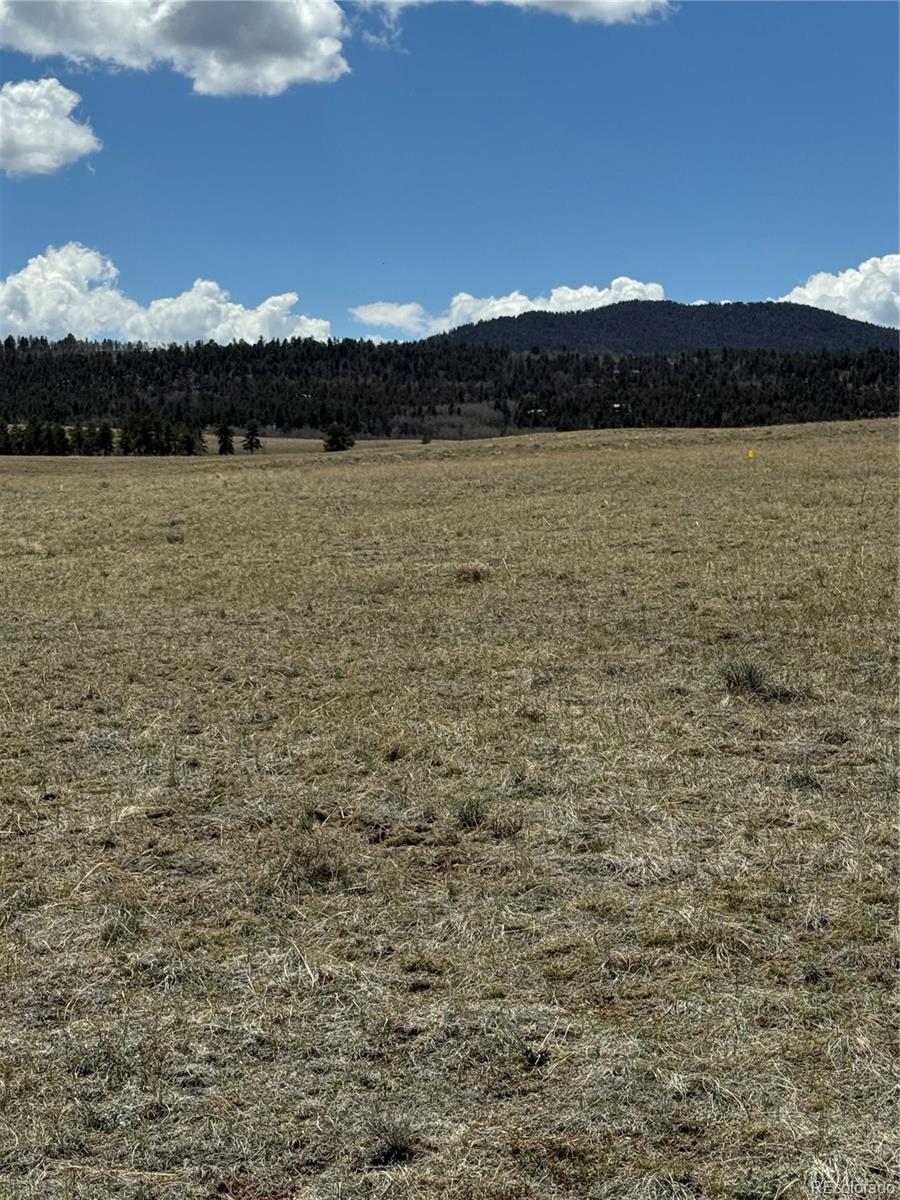 Ranch Road Hartsel, CO 80449 - Photo 3 of 3