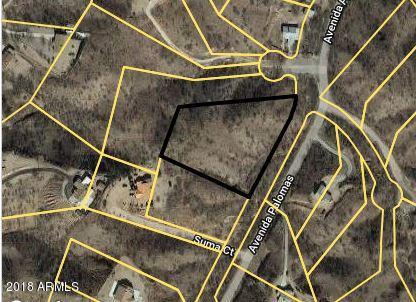 950 Avenida Palomas, Unit 113 Rio Rico, AZ 85648 - Photo 2 of 3 LAND