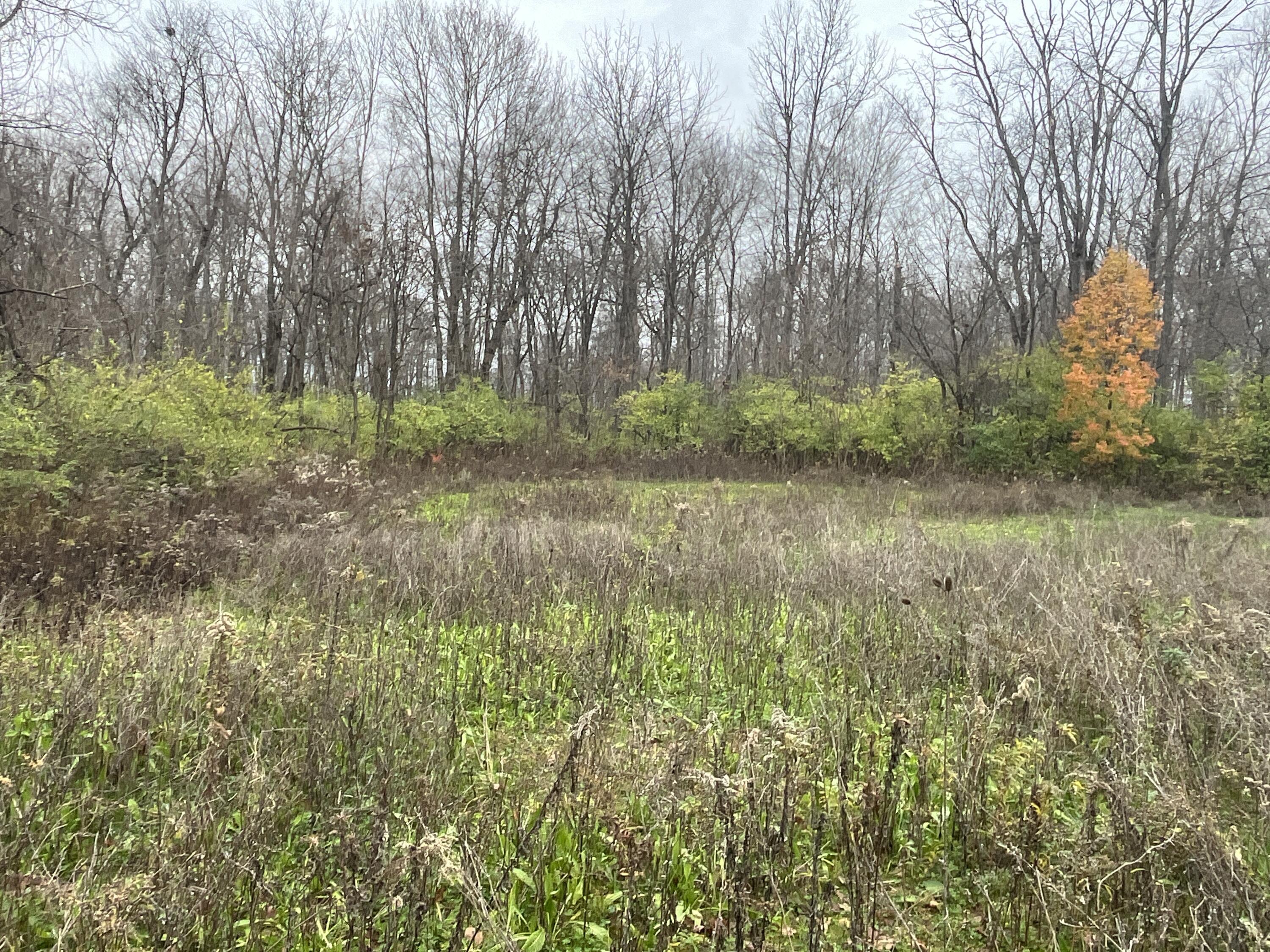 9237 Dog Leg Road Dayton, OH 45414 - Photo 28 of 33 IMG_2489