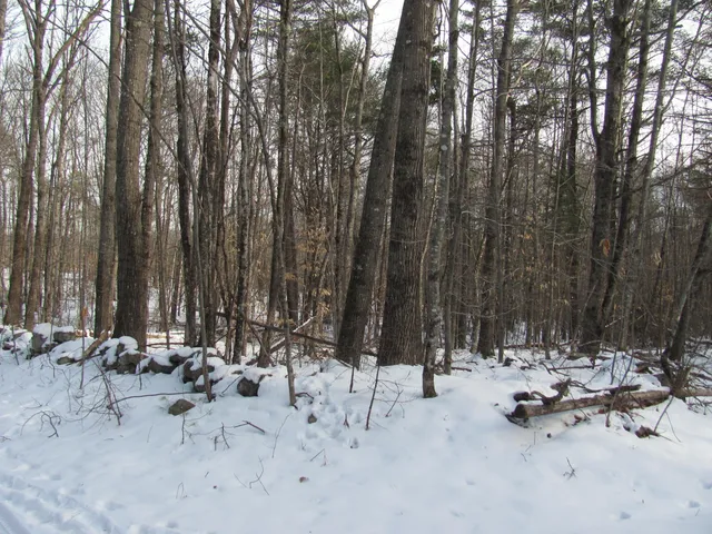 $69,900 | Tbd Rose Beck Lane, South Paris, ME 04281