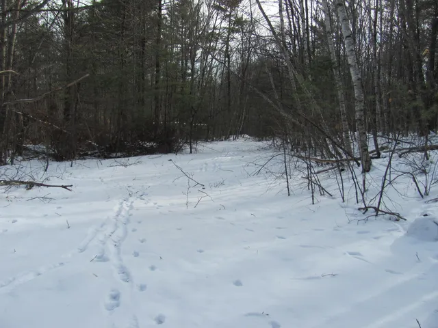 $69,900 | Tbd Rose Beck Lane, South Paris, ME 04281