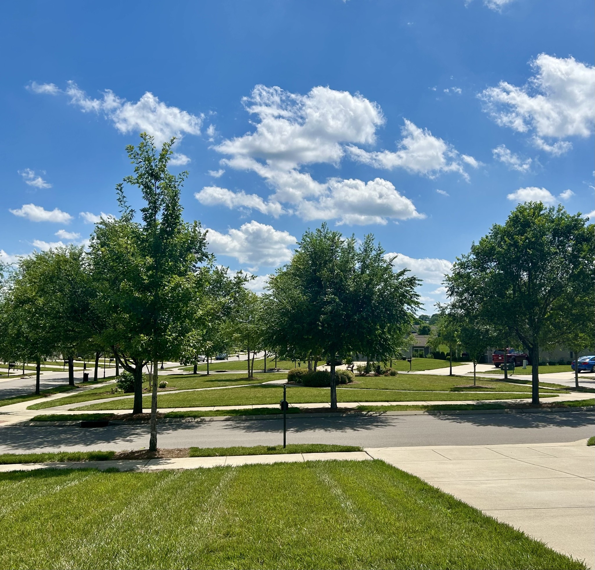 104 Tipton Pass Spring Hill, TN 37174 - Photo 43 of 57