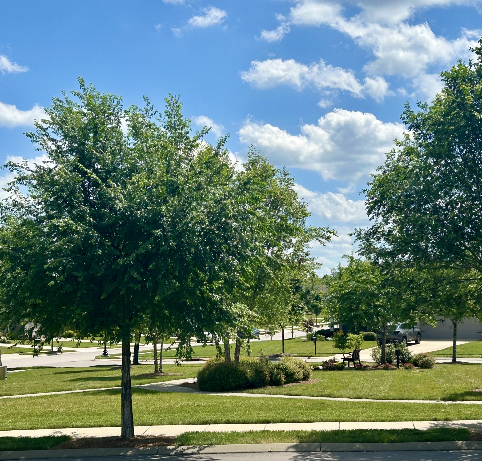 104 Tipton Pass Spring Hill, TN 37174 - Photo 44 of 57