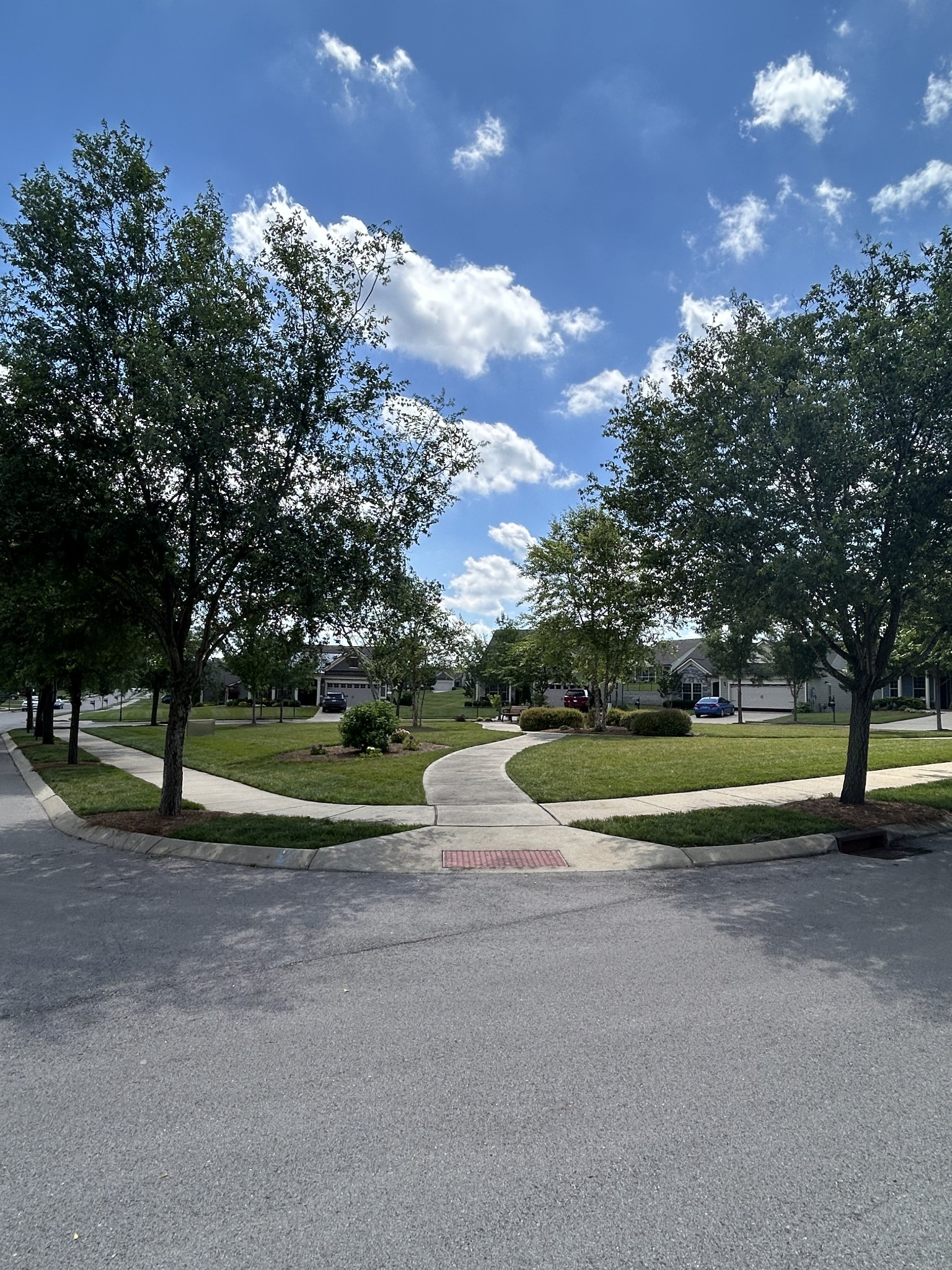 104 Tipton Pass Spring Hill, TN 37174 - Photo 45 of 57