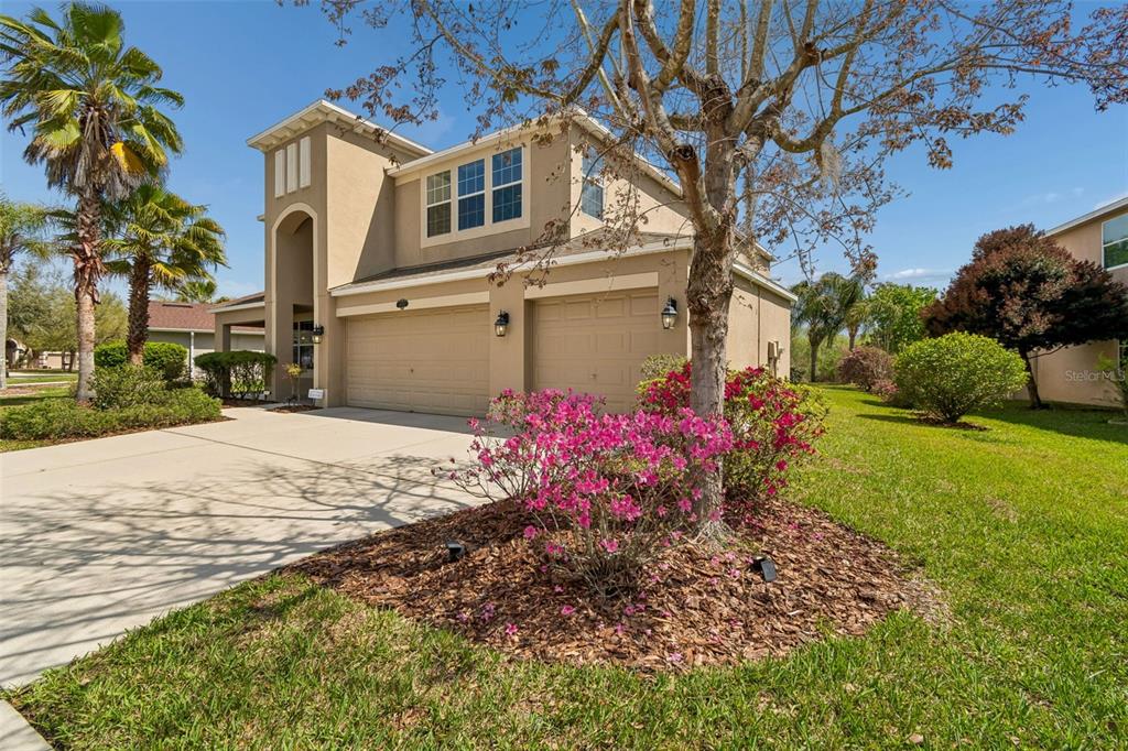10837 Breaking Rocks Drive Tampa, FL 33647 - Photo 3 of 47