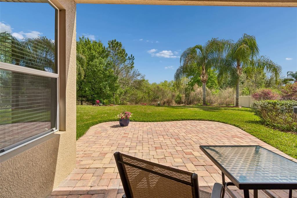 10837 Breaking Rocks Drive Tampa, FL 33647 - Photo 36 of 47