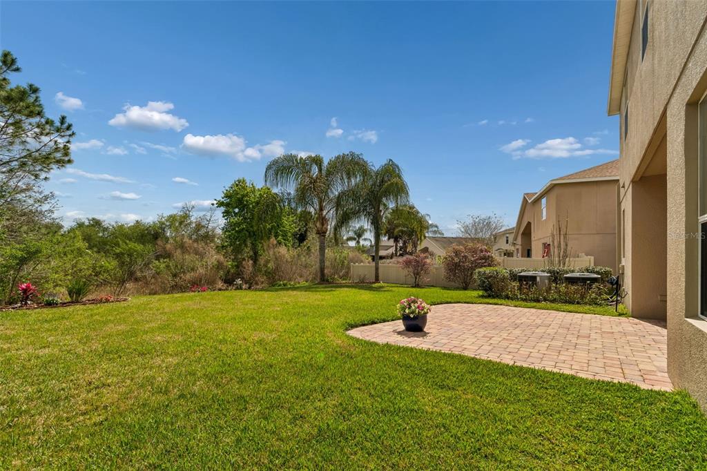 10837 Breaking Rocks Drive Tampa, FL 33647 - Photo 38 of 47