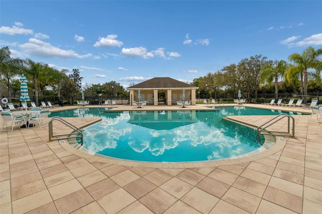 10837 Breaking Rocks Drive Tampa, FL 33647 - Photo 41 of 47