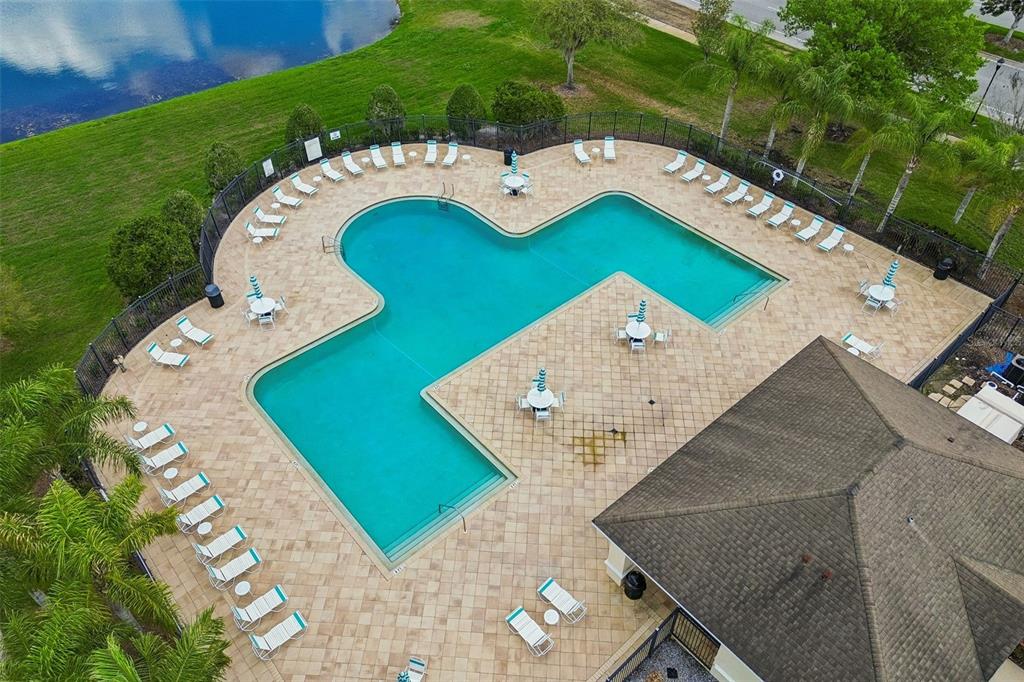 10837 Breaking Rocks Drive Tampa, FL 33647 - Photo 43 of 47