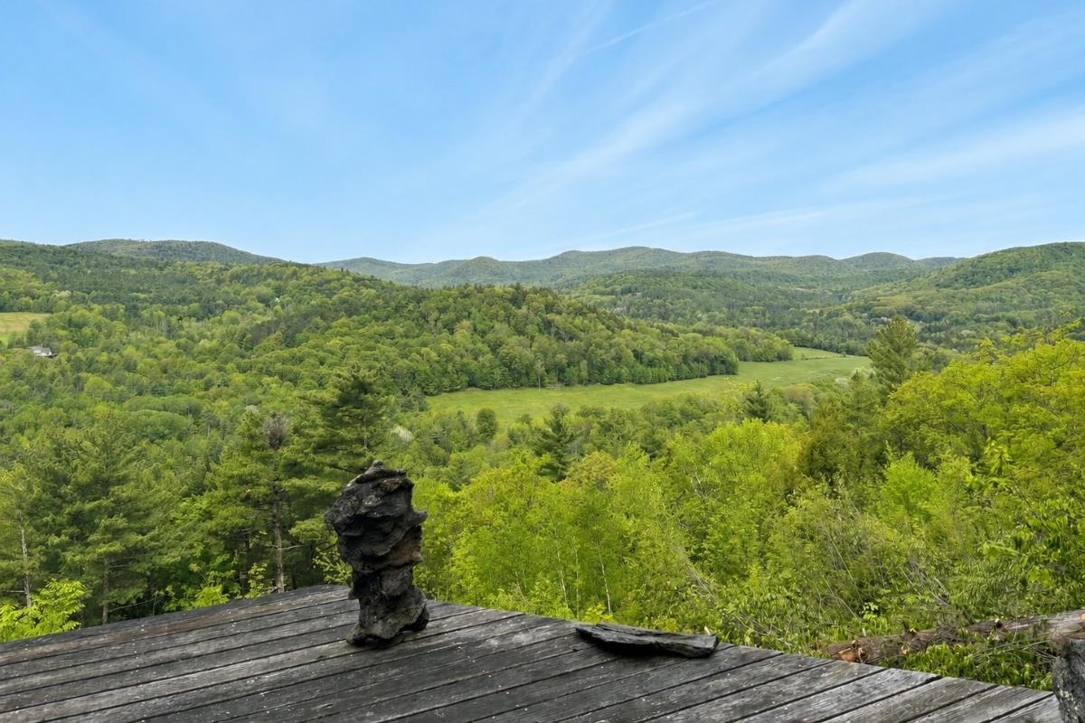 1100 Houghtonville Road Grafton, VT 05146 - Photo 47 of 50