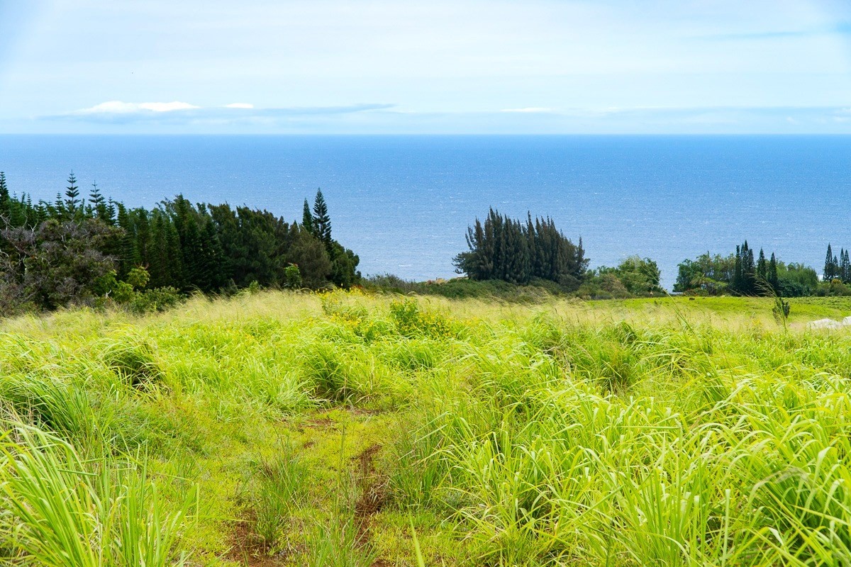 42 Ahoa Road Papaaloa, HI 96780 - Photo 1 of 23 Gallery Image 1