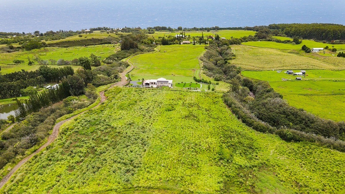 42 Ahoa Road Papaaloa, HI 96780 - Photo 11 of 23 Gallery Image 11