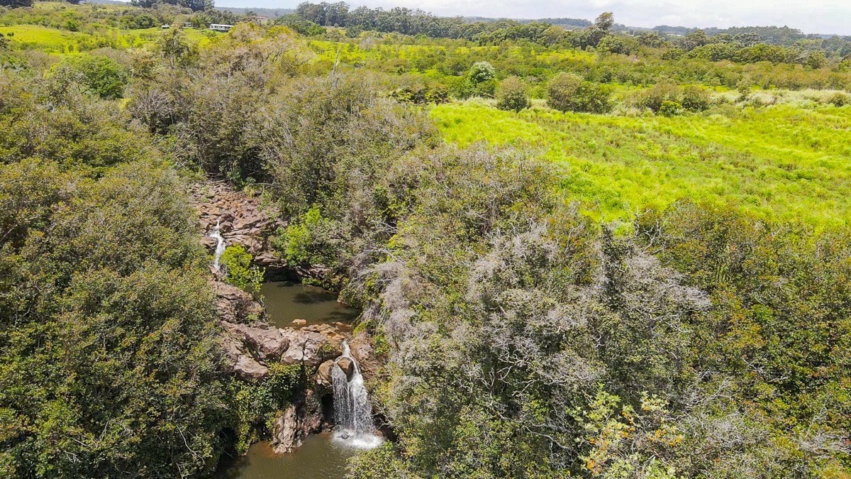42 Ahoa Road Papaaloa, HI 96780 - Photo 14 of 23 Gallery Image 14