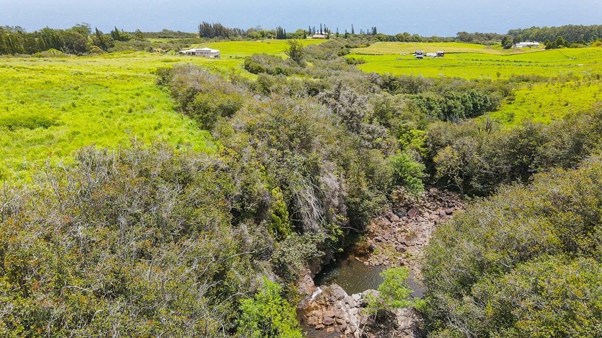 42 Ahoa Road Papaaloa, HI 96780 - Photo 20 of 23 Gallery Image 20