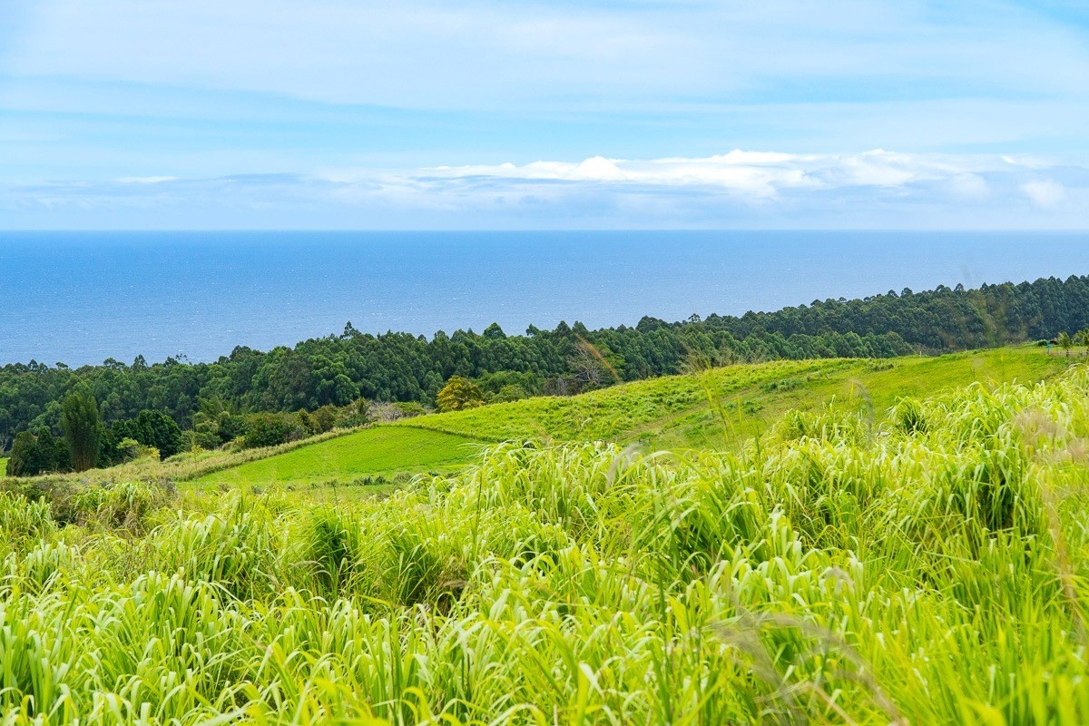 42 Ahoa Road Papaaloa, HI 96780 - Photo 2 of 23 Gallery Image 2