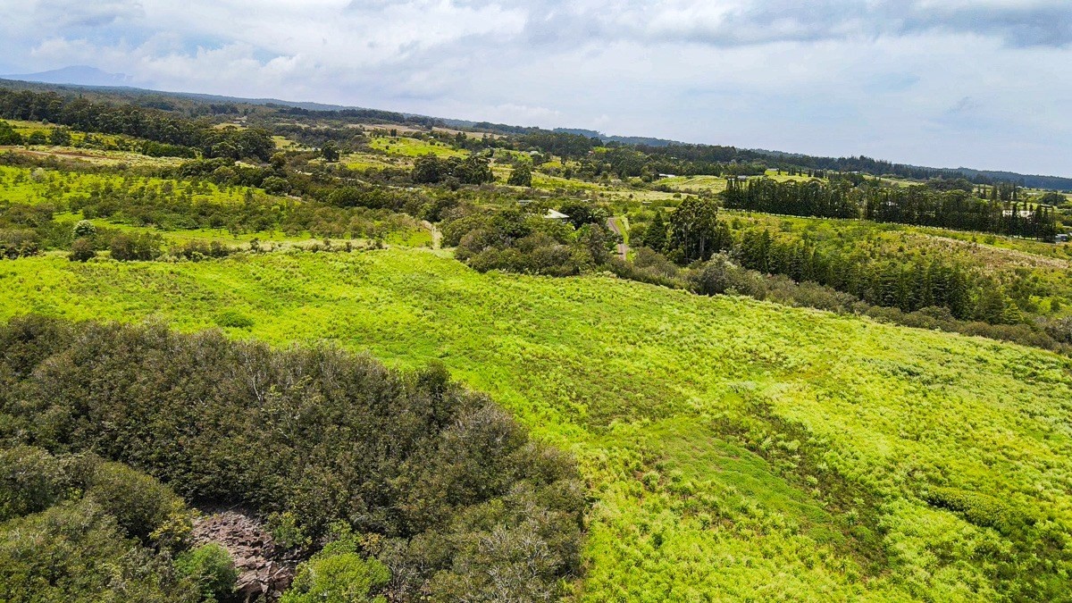 42 Ahoa Road Papaaloa, HI 96780 - Photo 21 of 23 Gallery Image 21
