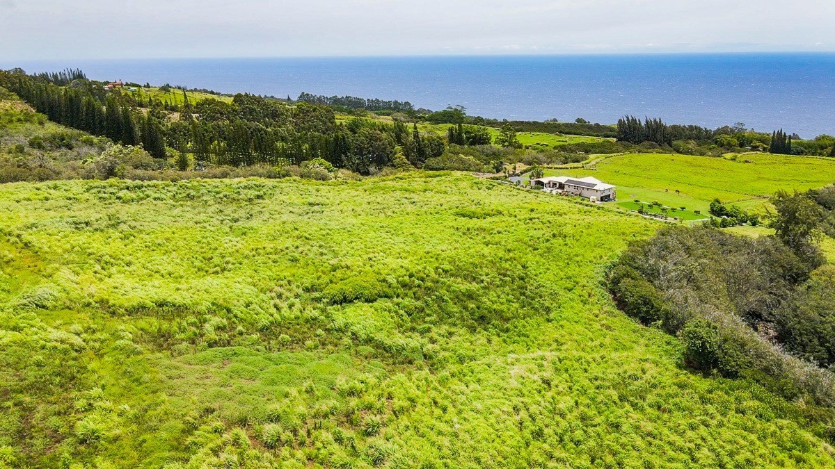 42 Ahoa Road Papaaloa, HI 96780 - Photo 3 of 23 Gallery Image 3
