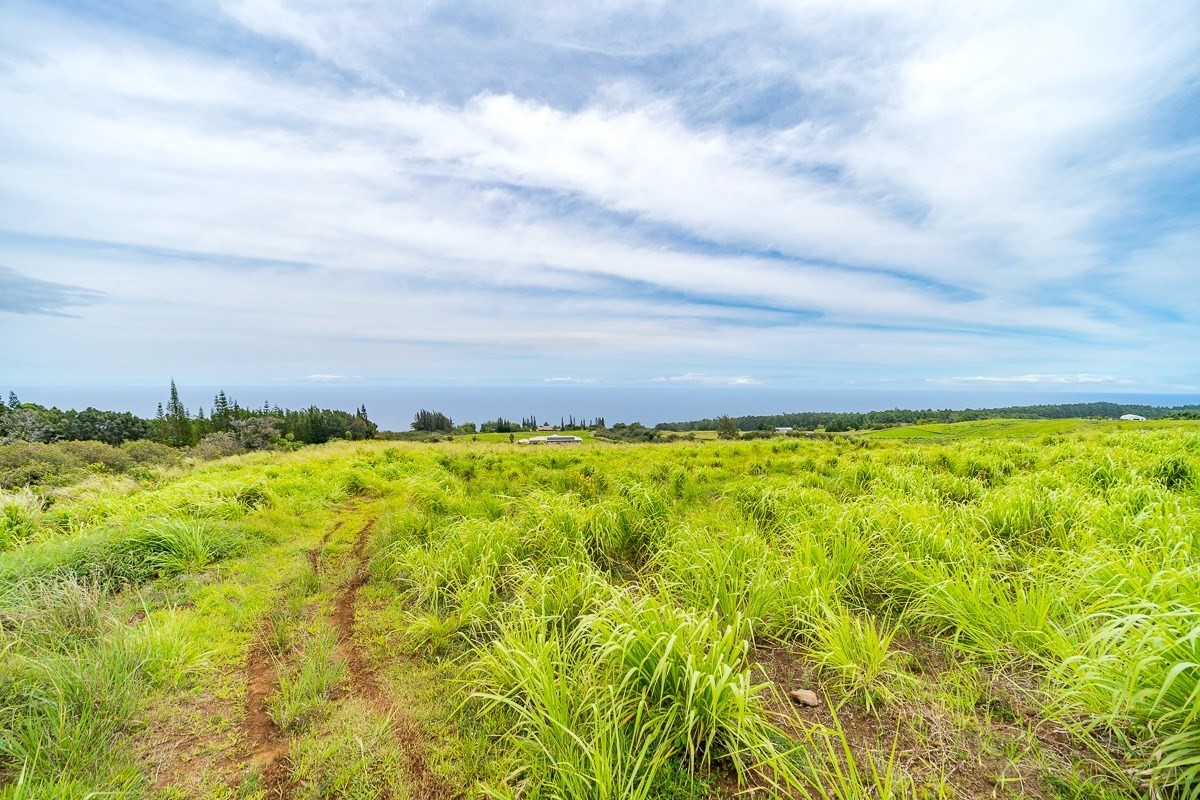 42 Ahoa Road Papaaloa, HI 96780 - Photo 4 of 23 Gallery Image 4