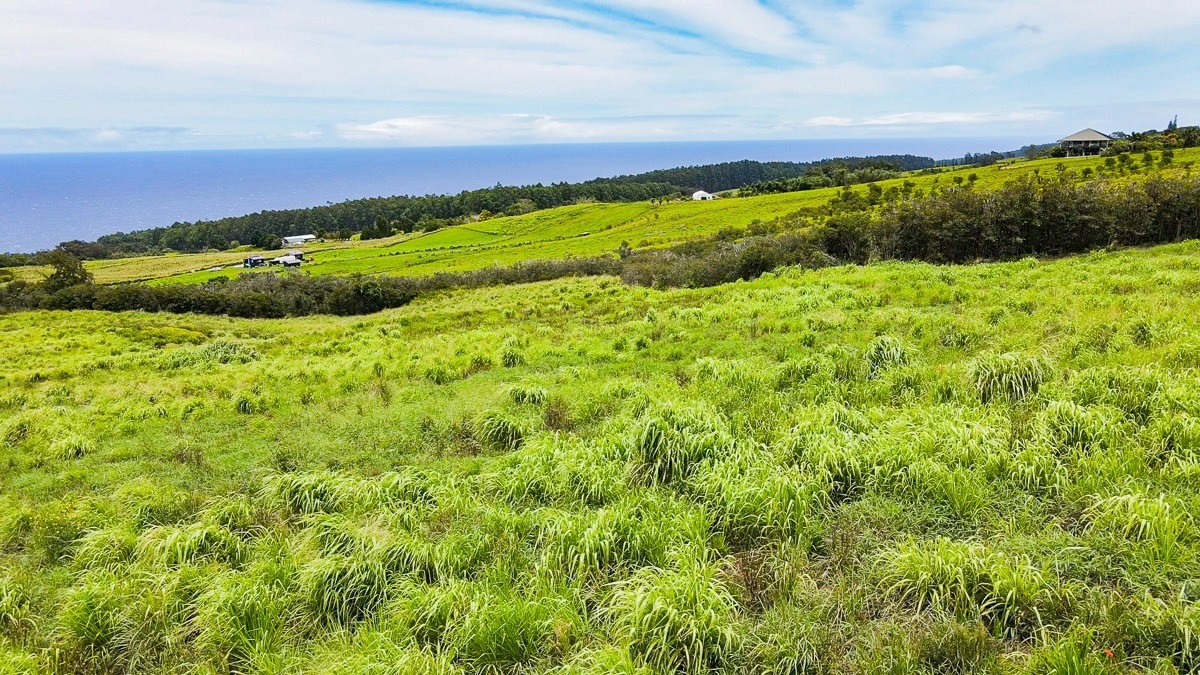 42 Ahoa Road Papaaloa, HI 96780 - Photo 8 of 23 Gallery Image 8