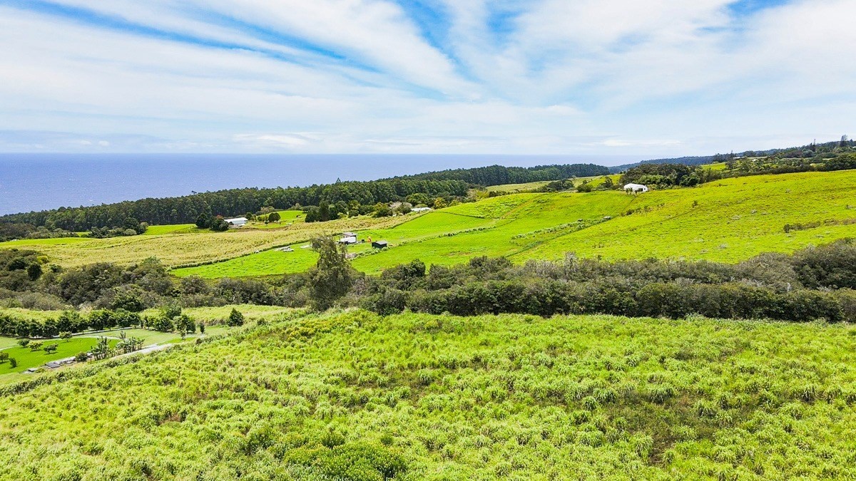 42 Ahoa Road Papaaloa, HI 96780 - Photo 9 of 23 Gallery Image 9