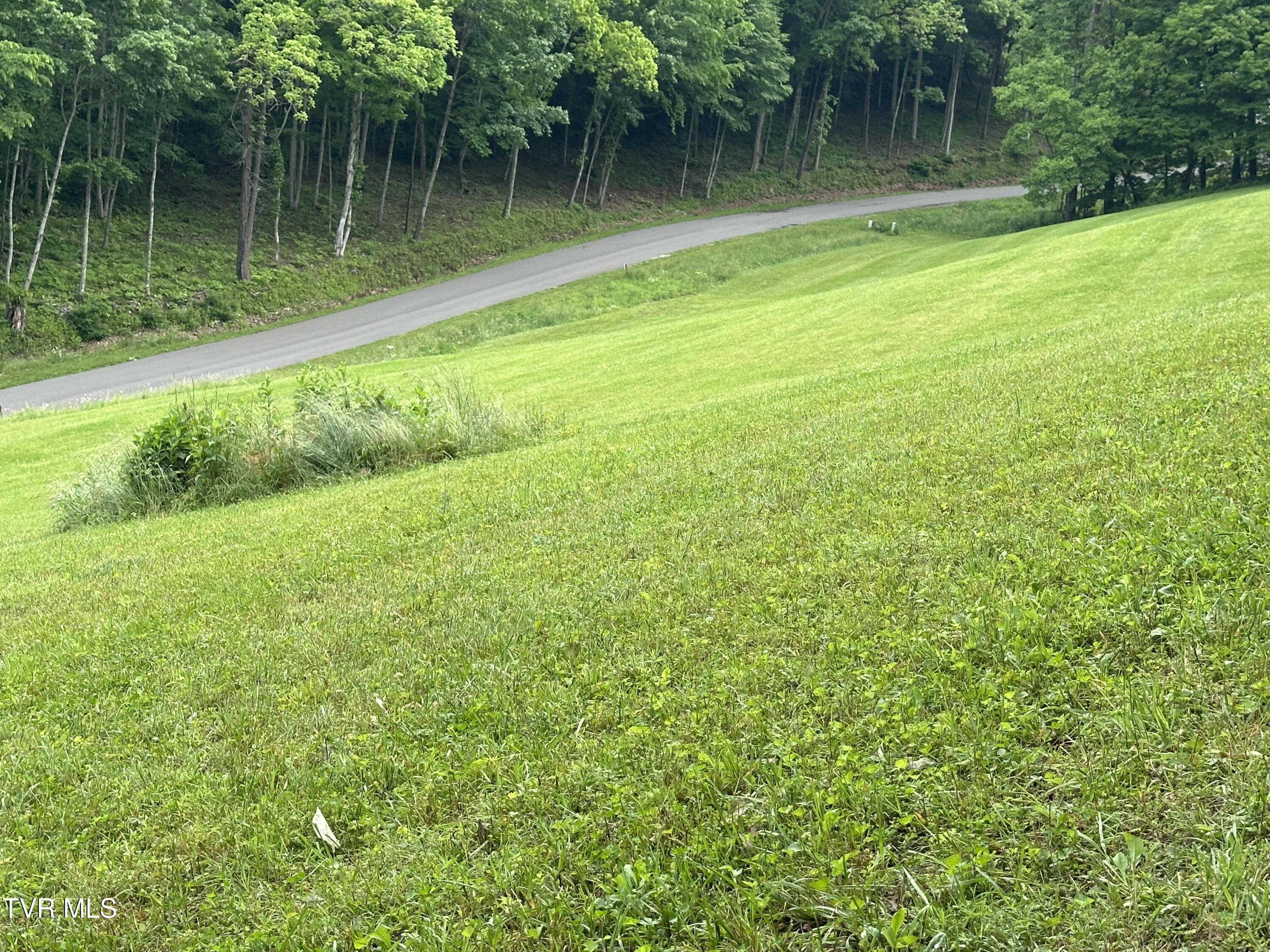 Lot 8 High Country Road, Unit 8 Butler, TN 37640 - Photo 5 of 15 Butler 3
