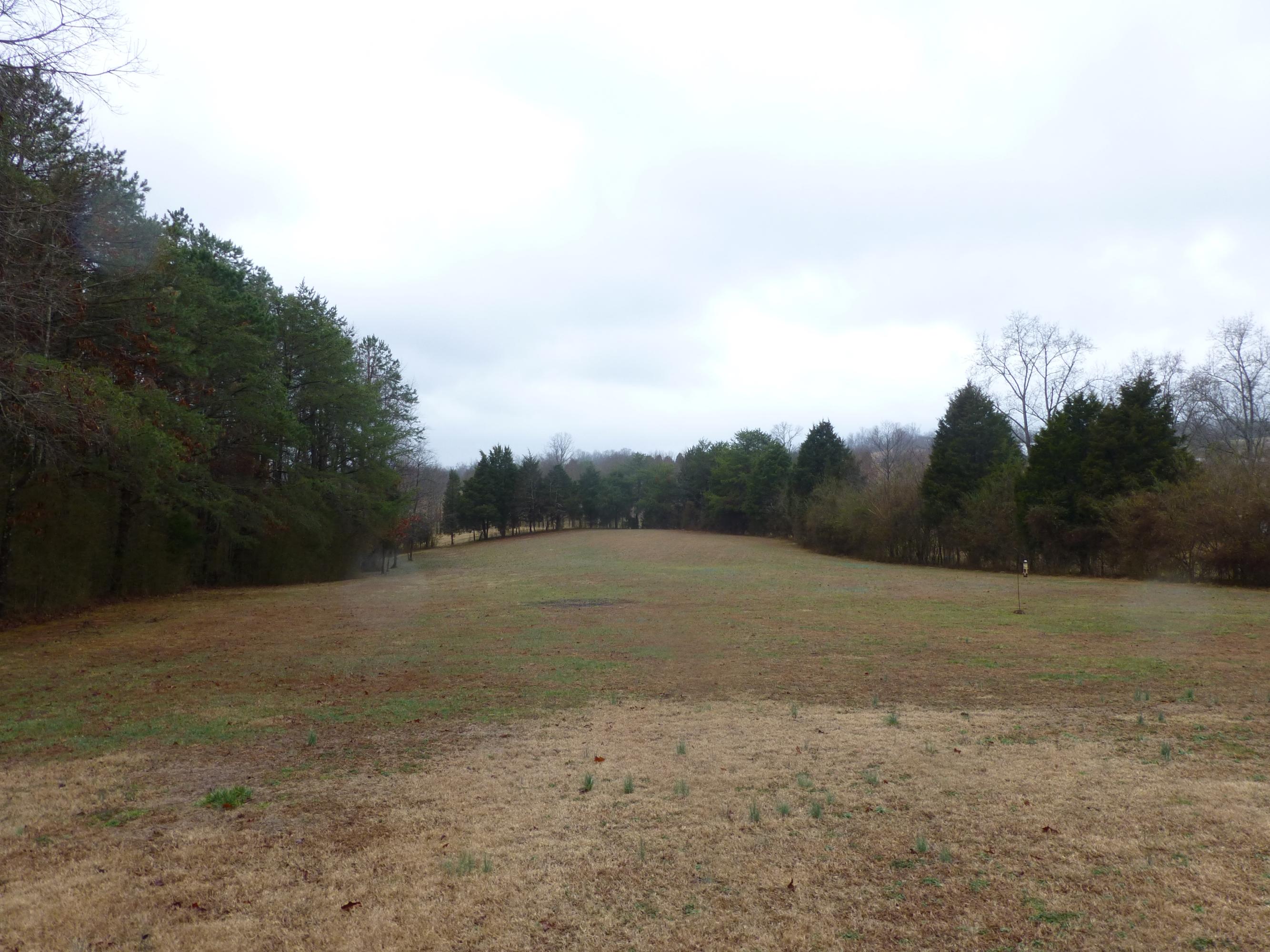 480 Mears Way Greenback, TN 37742 - Photo 8 of 20 480 Mears 004