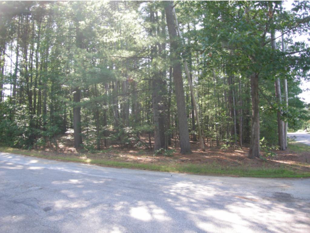 28 Echo Acres Road Conway, NH 03860 - Photo 2 of 7 Gallery Image 2