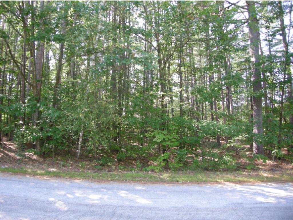 28 Echo Acres Road Conway, NH 03860 - Photo 4 of 7 Gallery Image 4