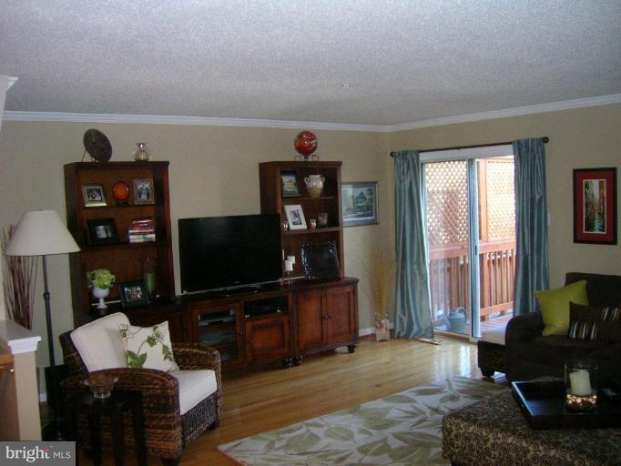 2330 Cold Meadow Way Silver Spring, MD 20906 - Photo 3 of 20 Living Room