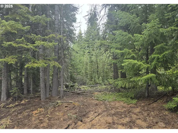 a view of outdoor space and green space