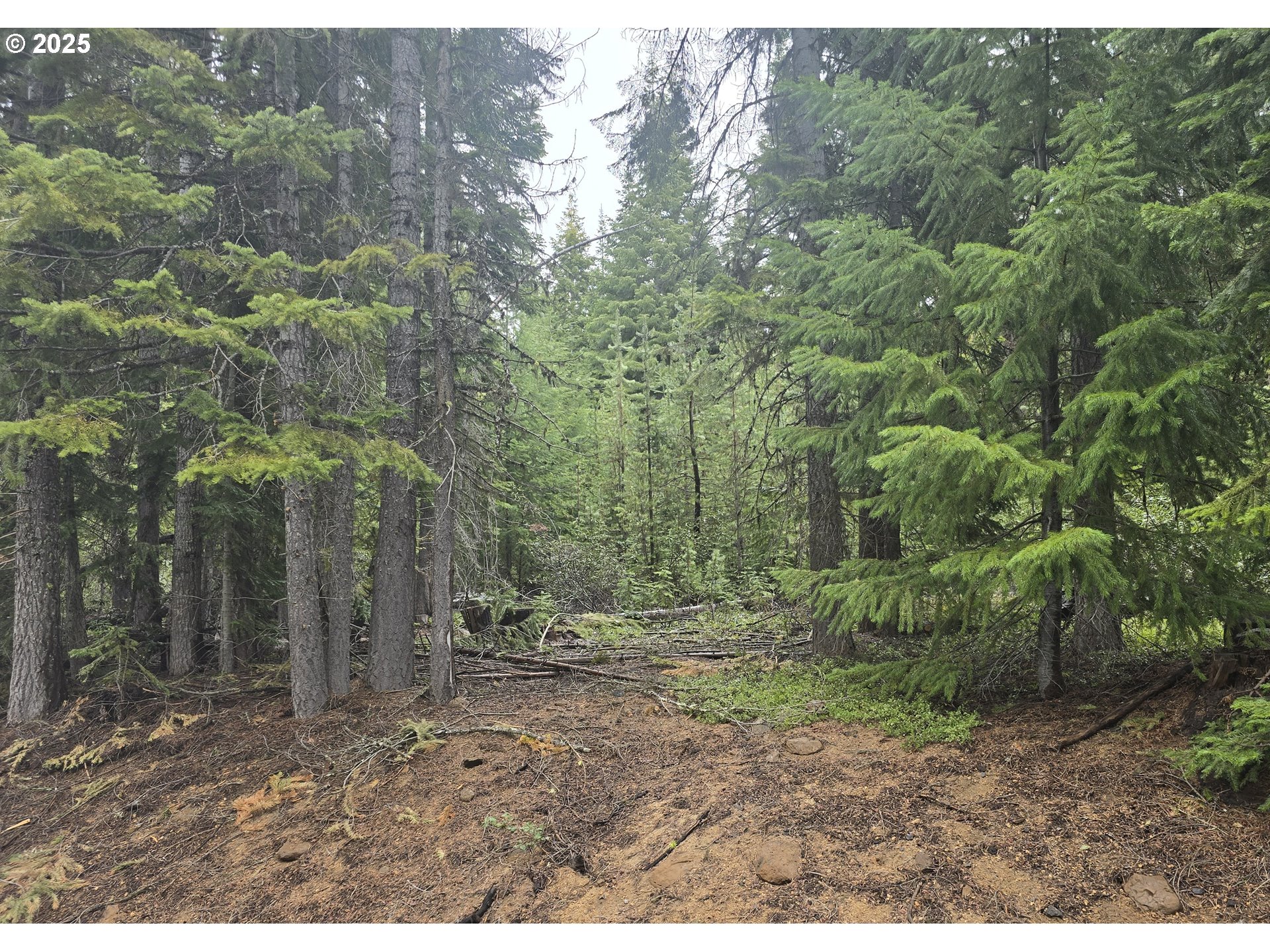 5 Royce Pine Road Crescent Lake, OR 97733 - Photo 1 of 12 a view of outdoor space and green space
