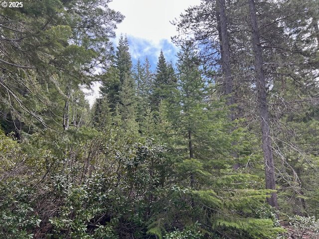 5 Royce Pine Road Crescent Lake, OR 97733 - Photo 5 of 12 a view of a forest with lush green forest