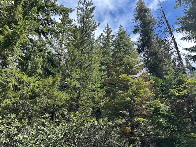 5 Royce Pine Road Crescent Lake, OR 97733 - Photo 8 of 12 a view of a tree