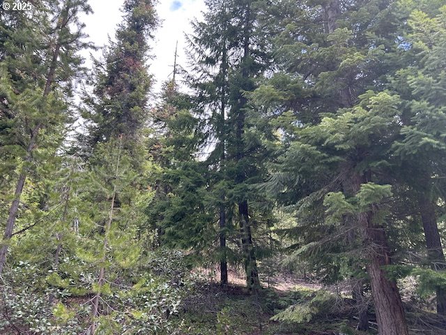 5 Royce Pine Road Crescent Lake, OR 97733 - Photo 9 of 12 a view of a forest with lots of trees