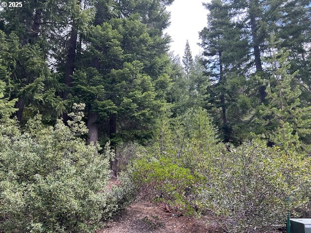 5 Royce Pine Road Crescent Lake, OR 97733 - Photo 10 of 12