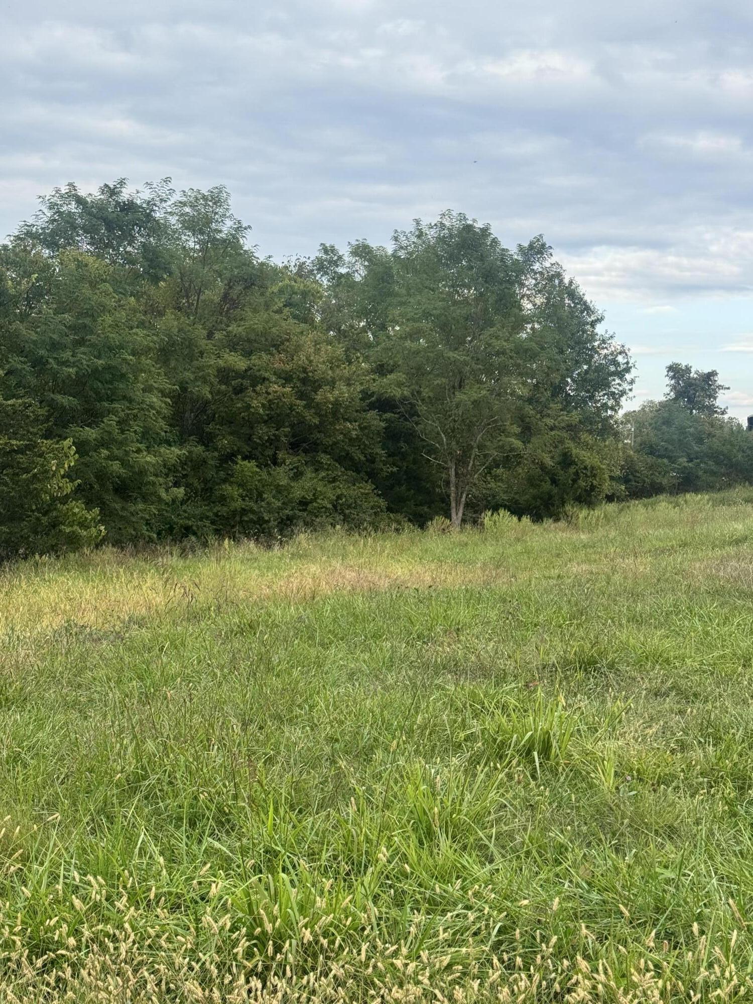 4315 Elliston Mt Zion Road Dry Ridge, KY 41035 - Photo 3 of 8