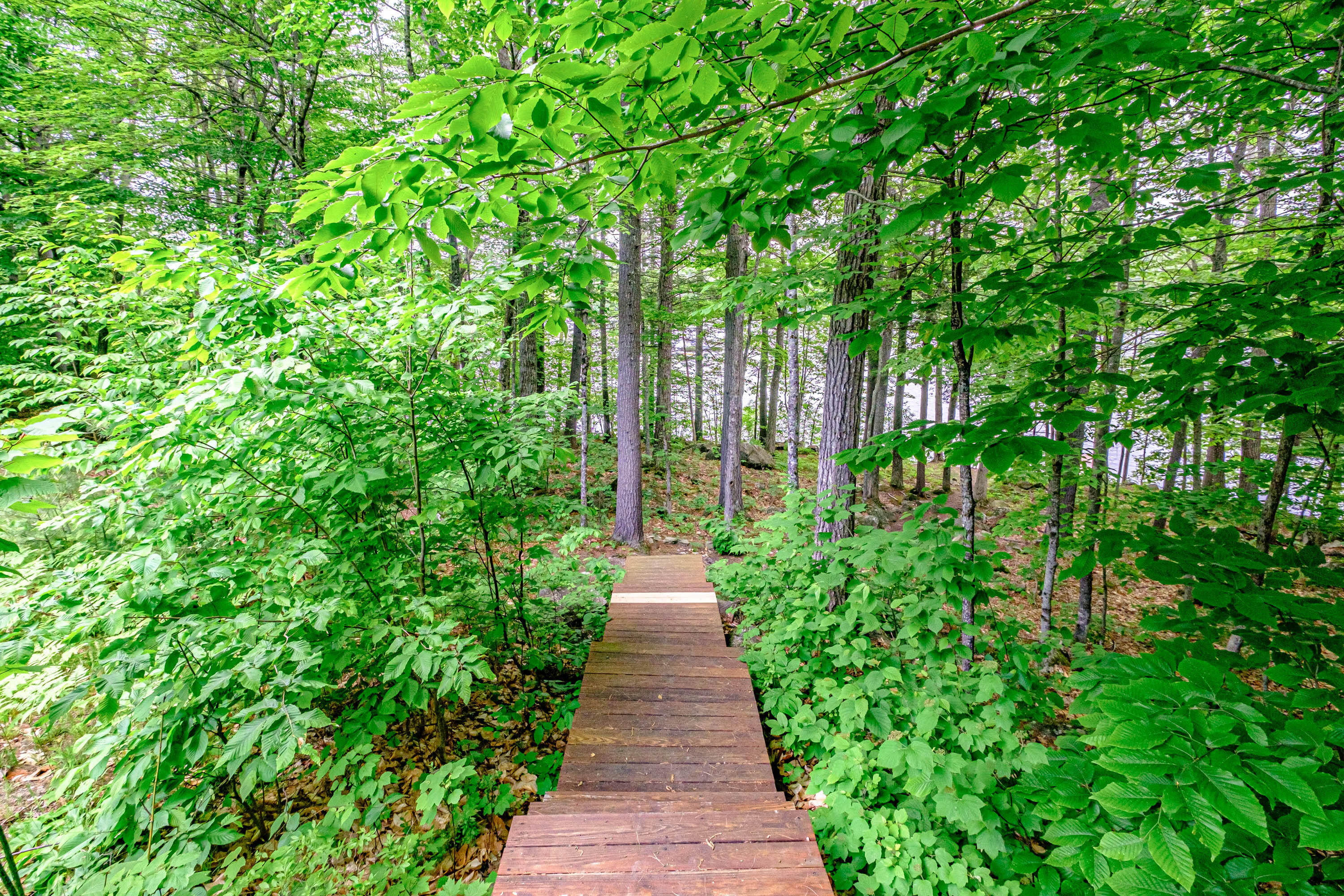 35 Granite Road Naples, ME 04055 - Photo 139 of 161 20220531mvht-62158