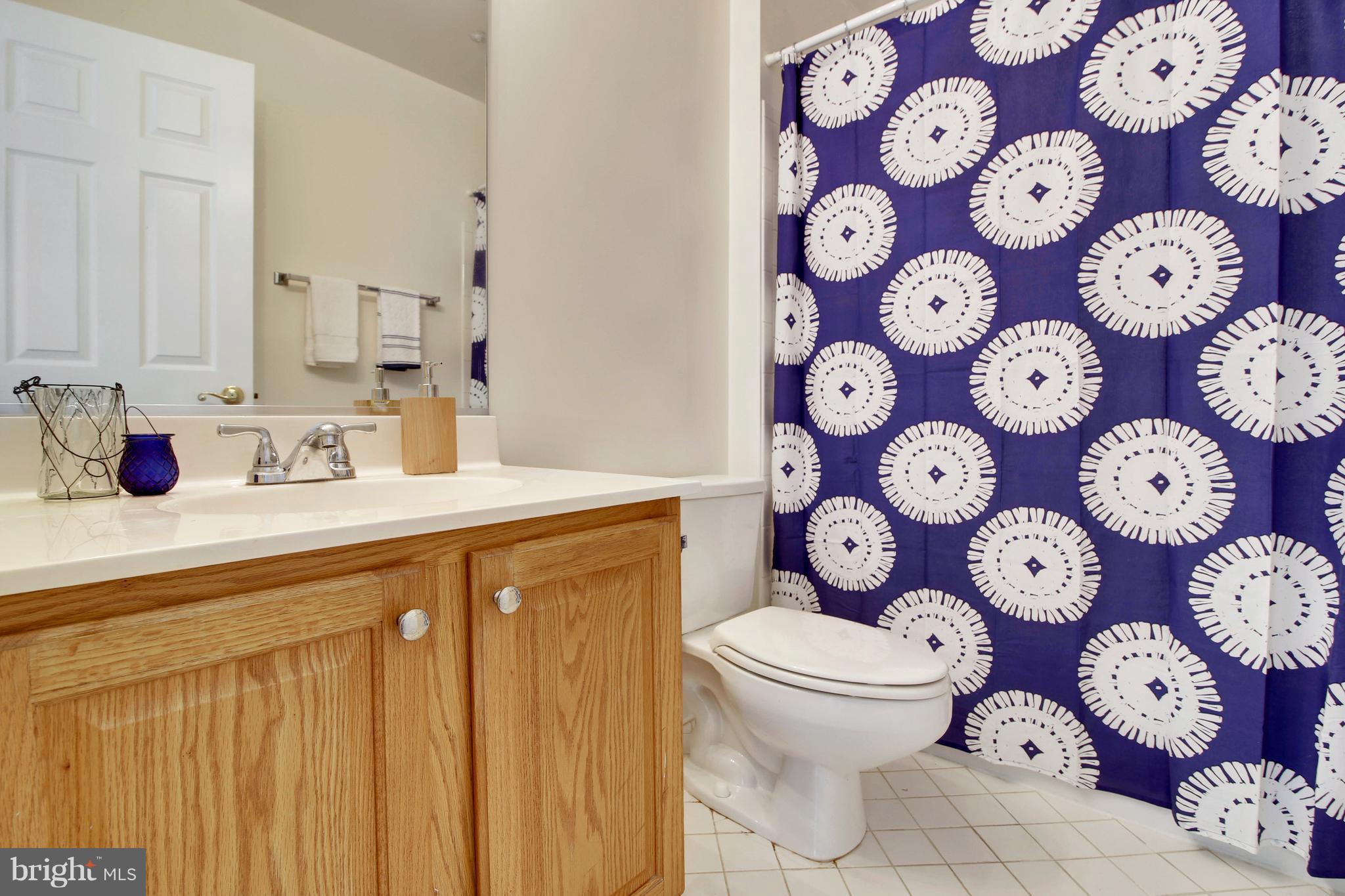 304 Ridgepoint Place, Unit 22 Gaithersburg, MD 20878 - Photo 20 of 30 Second Full Bath