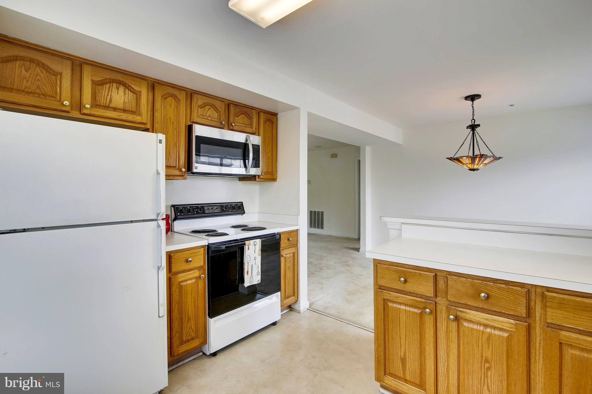 304 Ridgepoint Place, Unit 22 Gaithersburg, MD 20878 - Photo 9 of 30 Kitchen