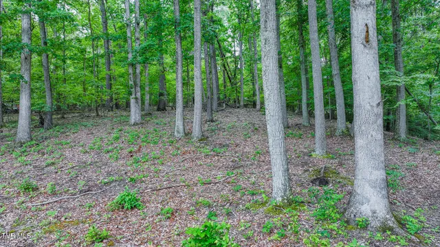 $395,000 | 524 Cherokee Drive, Mount Carmel, TN 37645