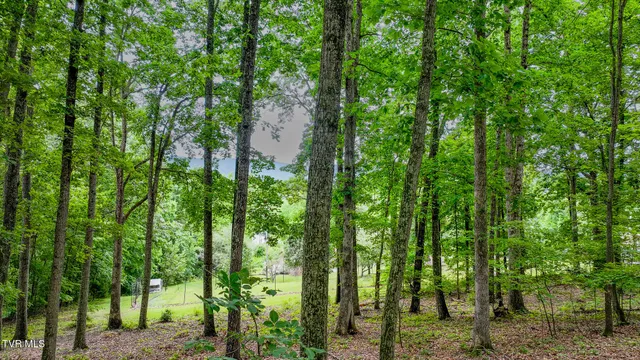 $395,000 | 524 Cherokee Drive, Mount Carmel, TN 37645