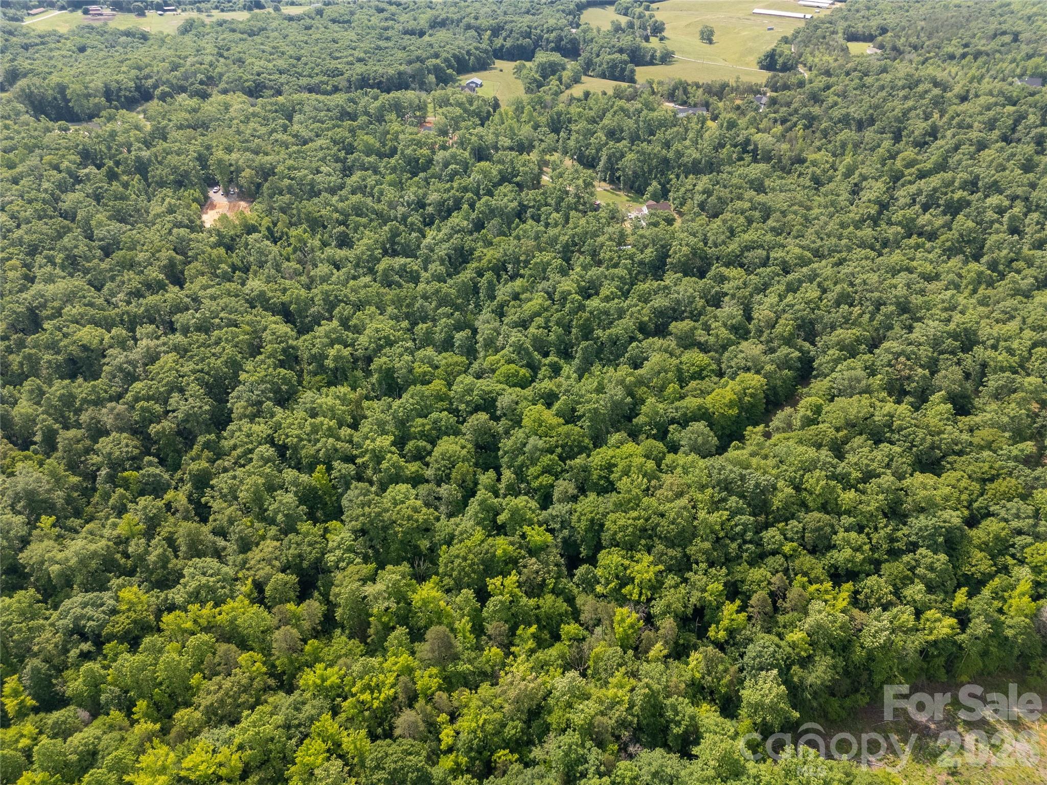 830 McGill Road Smyrna, SC 29743 - Photo 30 of 38 Gallery Image 30