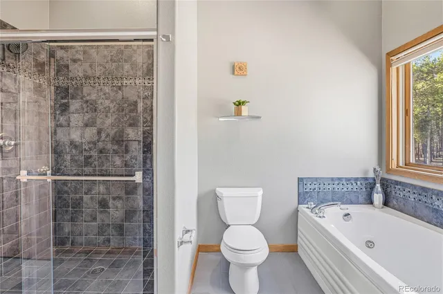 a bathroom with a toilet and a bathtub