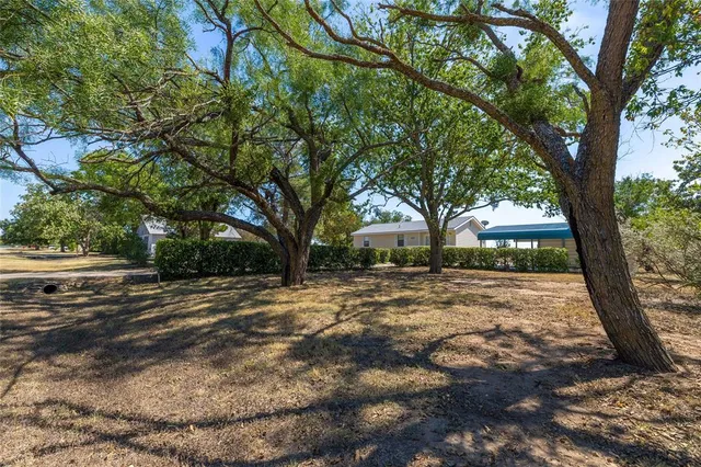 a view of a trees and a yard